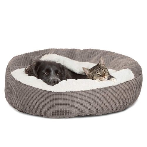 The best antianxiety dog beds to calm nervous pets Pets Take A Break
